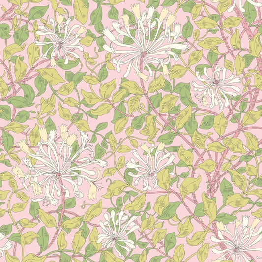 Honeysuckle Leaf Trail Wallpaper - Soft Pink - Hoopla Walls - HWA1076W - Premier Wallcovering