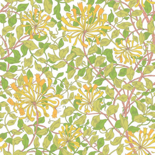 Honeysuckle Leaf Trail Wallpaper - Sunshine/Yellow - Hoopla Walls - HWA1074W - Premier Wallcovering