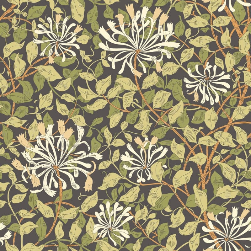 Honeysuckle Leaf Trail Wallpaper - Chalkboard - Hoopla Walls - HWA1086W - Premier Wallcovering