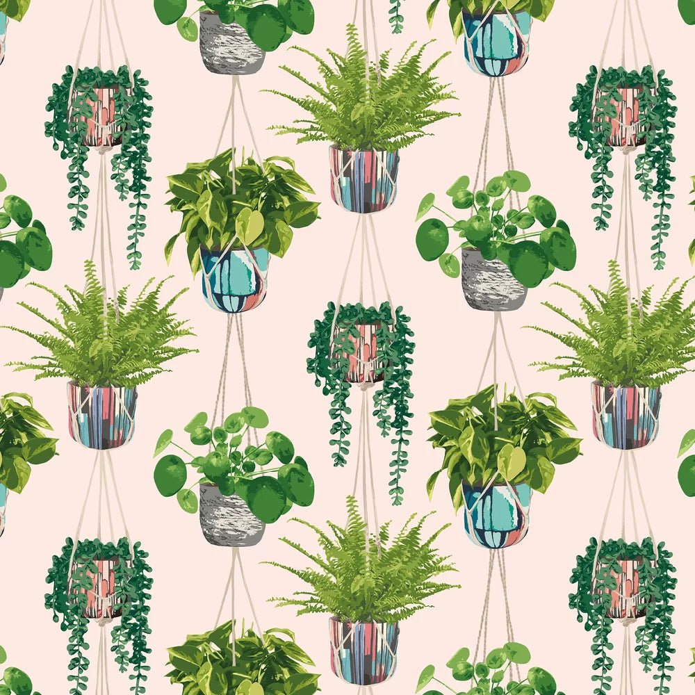 Houseplant Wallpaper - Ballet Slipper - Ohpopsi - GRA50110W - Premier Wallcovering