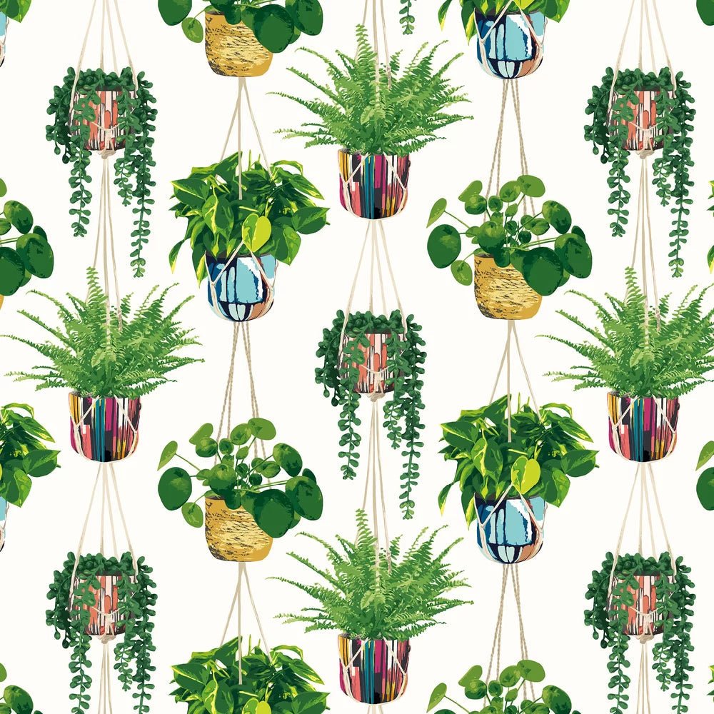 Houseplant Wallpaper - Parakeet - Ohpopsi - GRA50112W - Premier Wallcovering