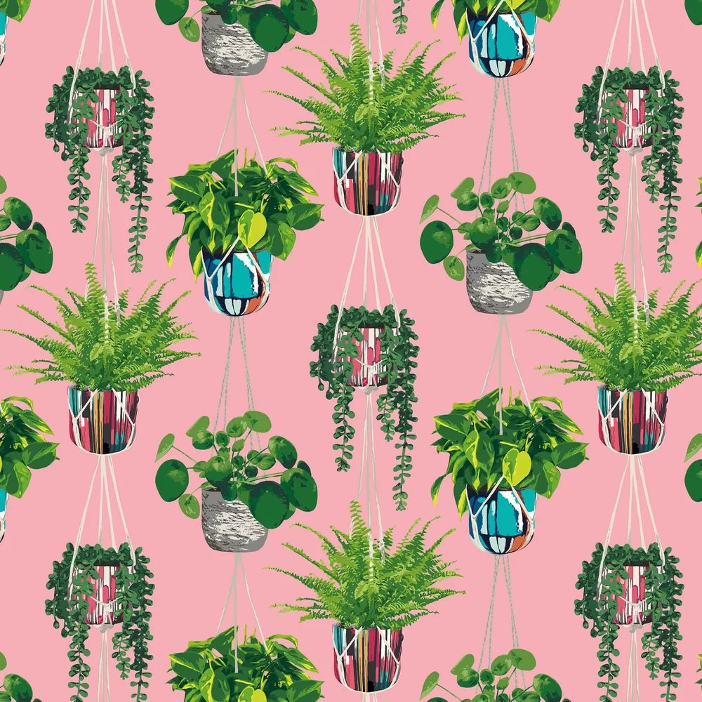Houseplant Wallpaper - Bubblegum - Ohpopsi - GRA50109W - Premier Wallcovering