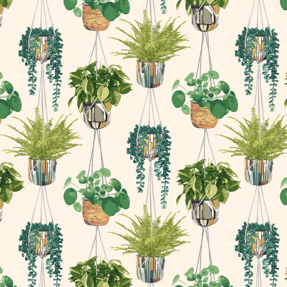 Houseplant Wallpaper - Sage & Cider - Ohpopsi - GRA50111W - Premier Wallcovering