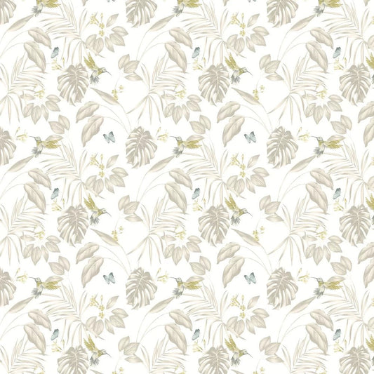 Hummingbird Wallpaper - Pearl - Ohpopsi - LBK50114W - Premier Wallcovering
