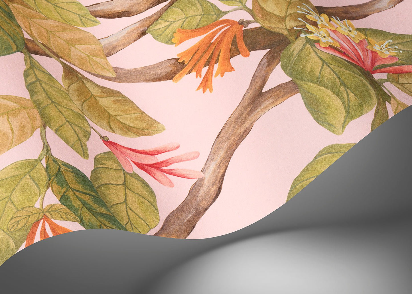 Hummingbirds Flora Wallpaper - Tangerine & Olive on Blush - 124/2009 - Cole & Son - Premier Wallcovering
