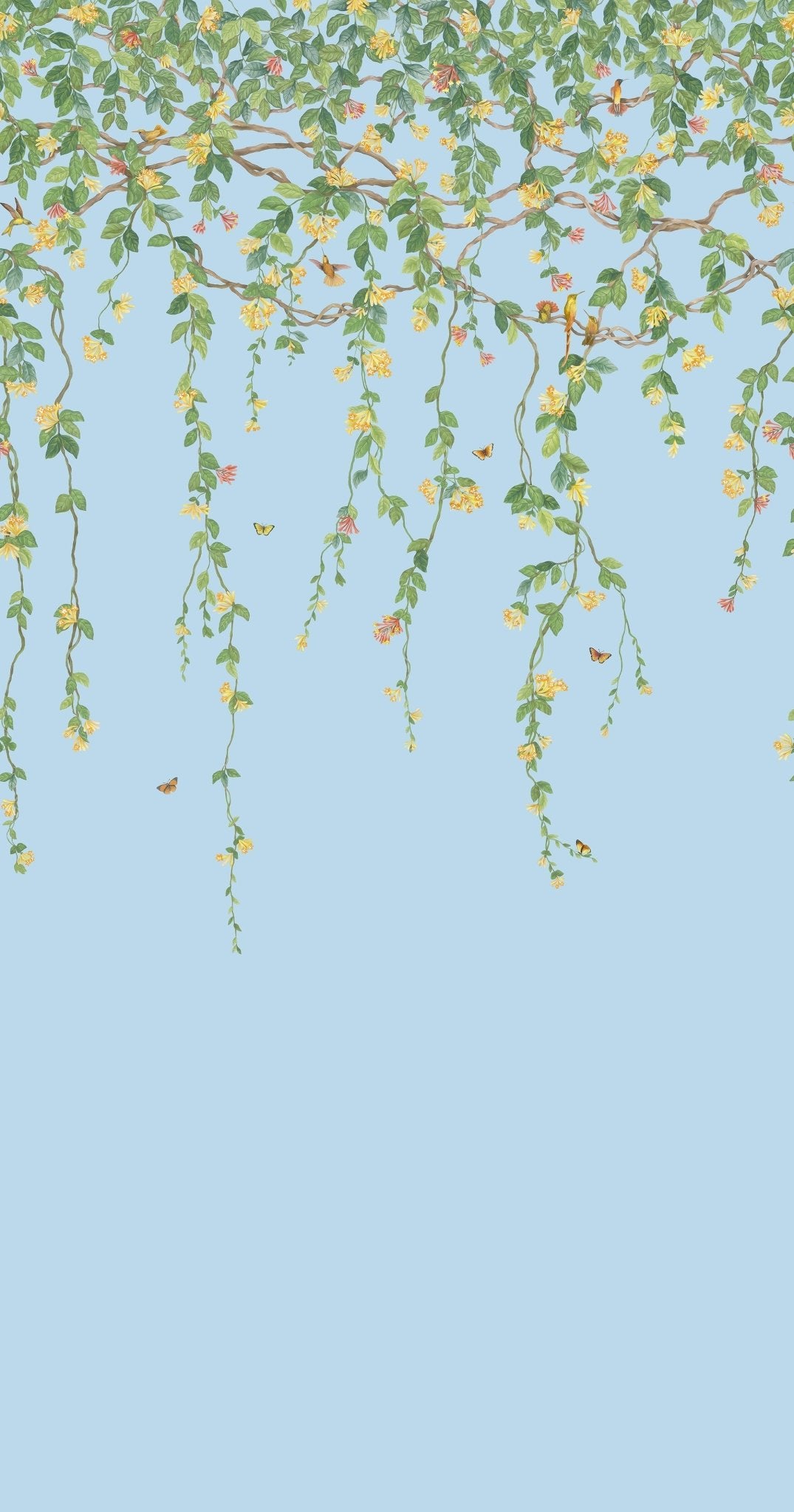 Hummingbirds Flora Wallpaper - Buttercup Yellow on Cornflower Blue - 124/2011 - Cole & Son - Premier Wallcovering