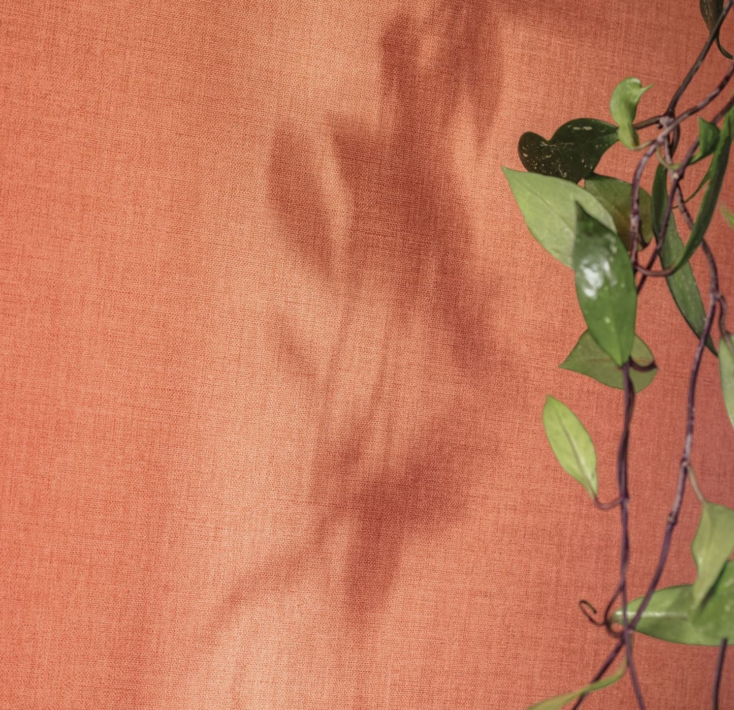 Hygge Uni Wallpaper - Terracotta - Caselio - 100604313 - Premier Wallcovering