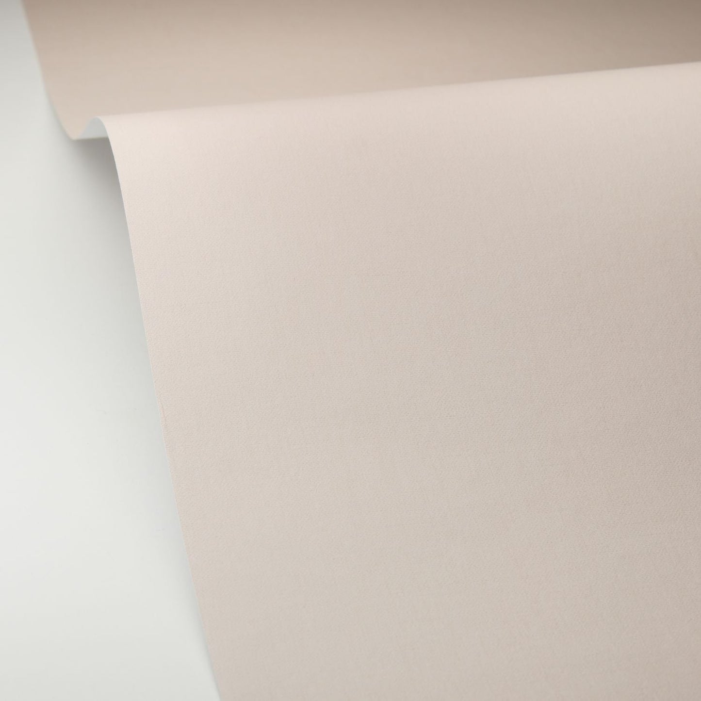 Hygge Uni Wallpaper - Creme - Caselio - 100601340 - Premier Wallcovering