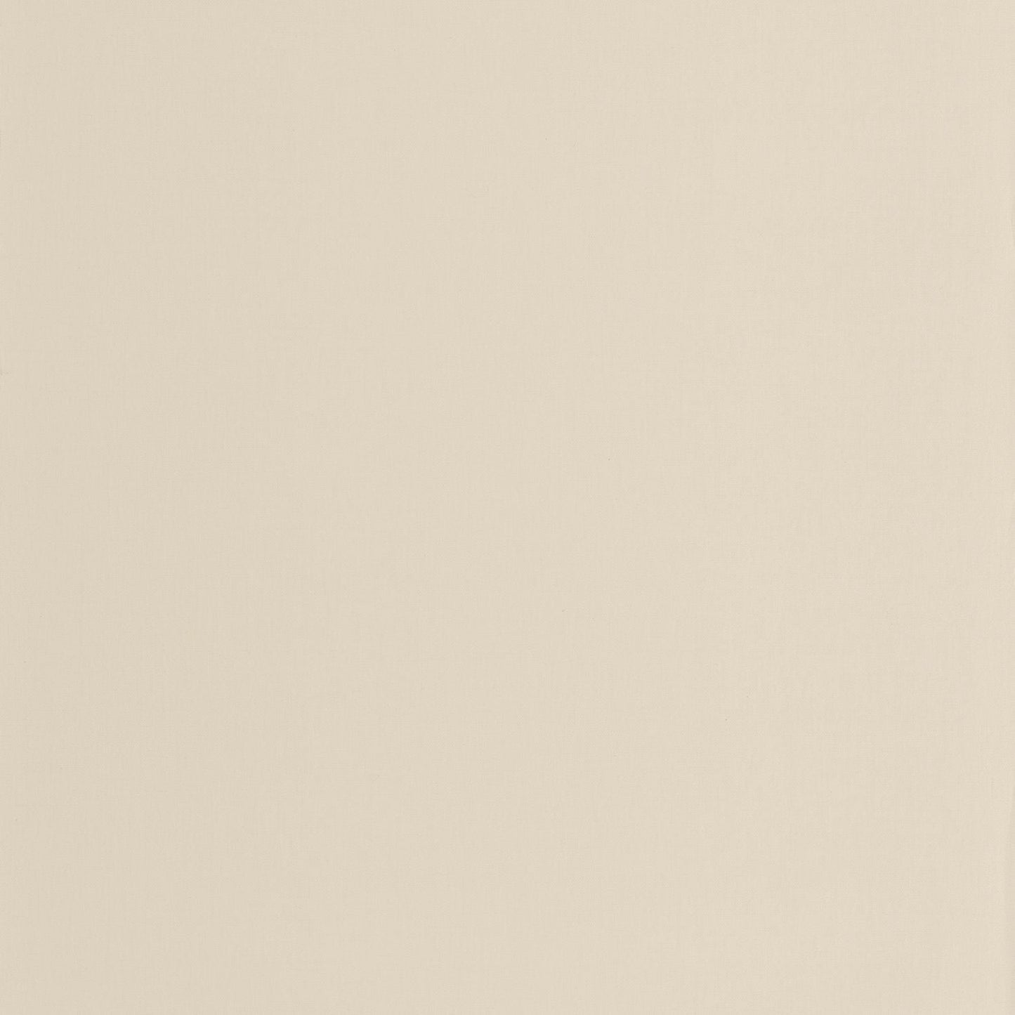 Hygge Uni Wallpaper - Creme - Caselio - 100601340 - Premier Wallcovering