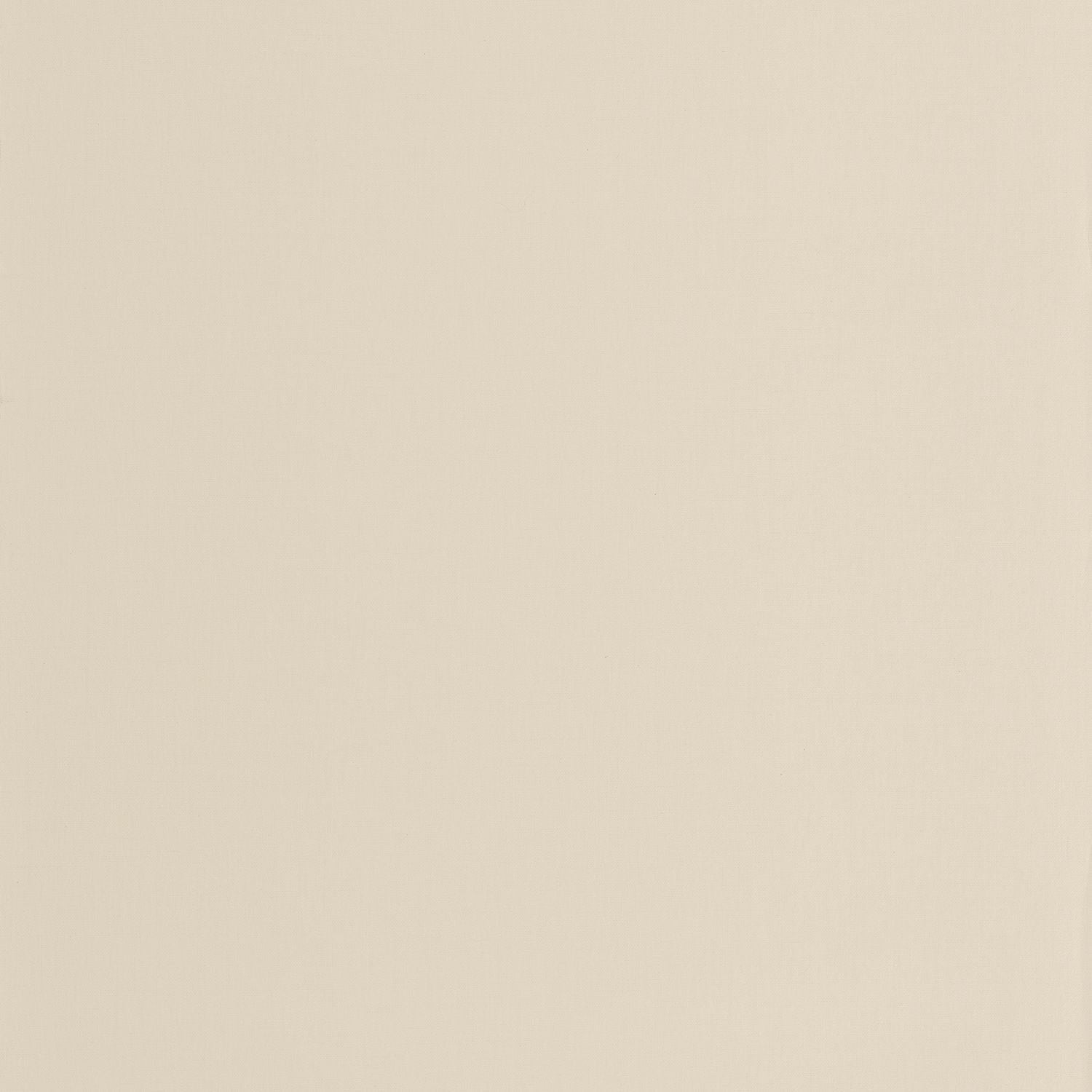 Hygge Uni Wallpaper - Creme - Caselio - 100601340 - Premier Wallcovering