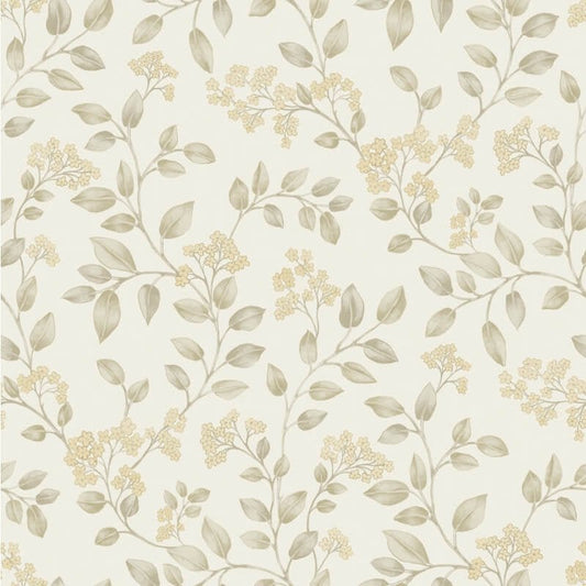 Icon Jasmine Floral Trail Wallpaper - Beige - Grandeco - IC3001 - Premier Wallcovering