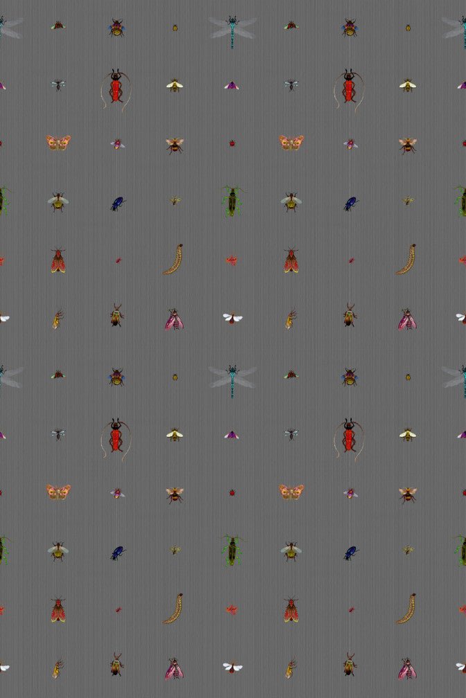 Insect Grid Wallpaper - Charcoal - Timorous Beasties - TB/GRID/MATT/03 - Premier Wallcovering