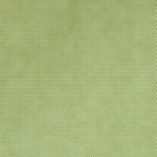 Iribe Wallpaper - Pistachio - P531/06 - Designers Guild - Premier Wallcovering