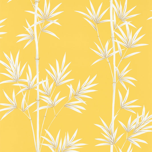 Isabella Wallpaper - Honey/Porcelain - HDHW112914 - Harlequin - Premier Wallcovering