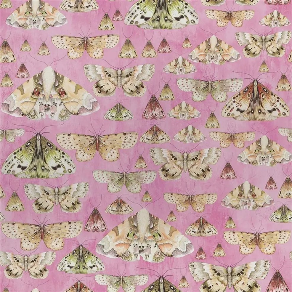 Issoria Wallpaper - Rose - Designers Guild - PDG713/03 - Premier Wallcovering