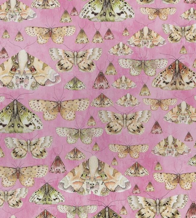 Issoria Wallpaper - Rose - PDG713/03 - Designers Guild - Premier Wallcovering