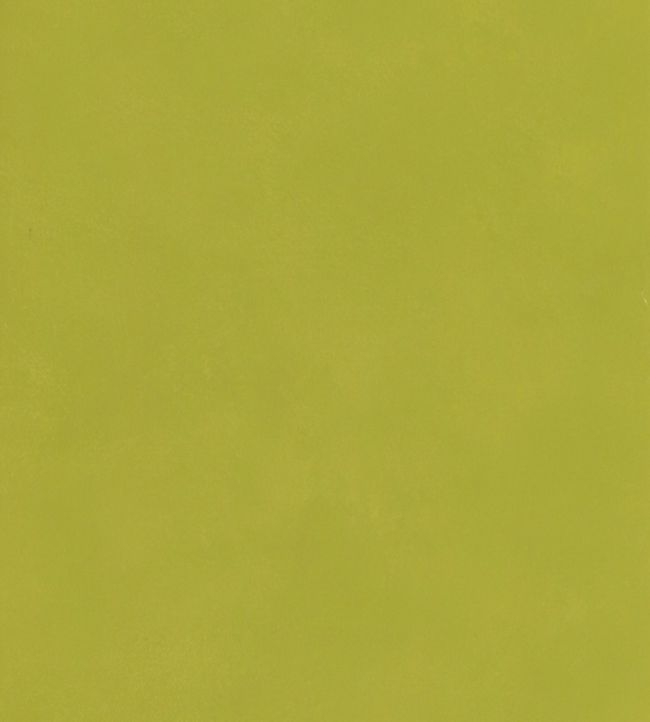 Japan Wallpaper - Citrus - Andrew Martin - JACITRUS - Premier Wallcovering