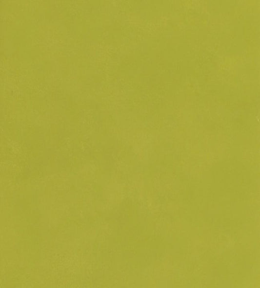 Japan Wallpaper - Citrus - Andrew Martin - JACITRUS - Premier Wallcovering