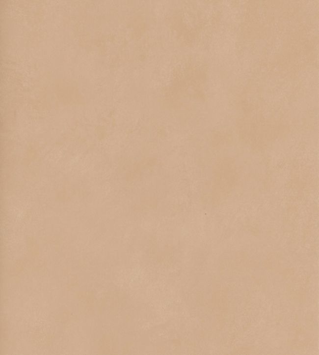 Japan Wallpaper - Blush - Andrew Martin - JABLU - Premier Wallcovering