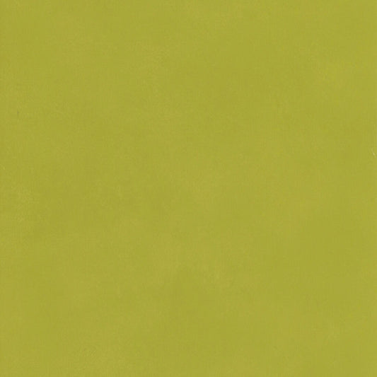 Japan Wallpaper - Citrus - Andrew Martin - JACITRUS - Premier Wallcovering