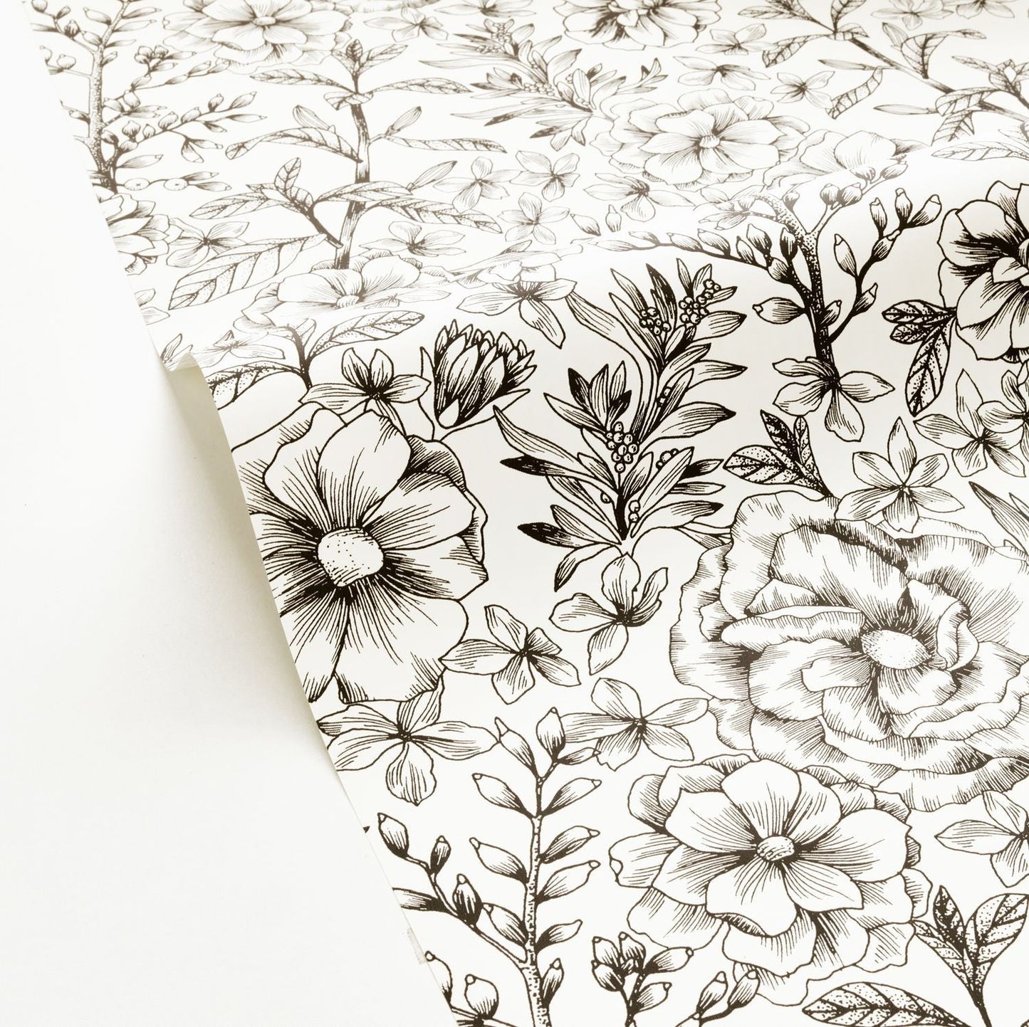 Jardin De Beauregard Wallpaper - Blanc Noir - Caselio - 103060913 - Premier Wallcovering