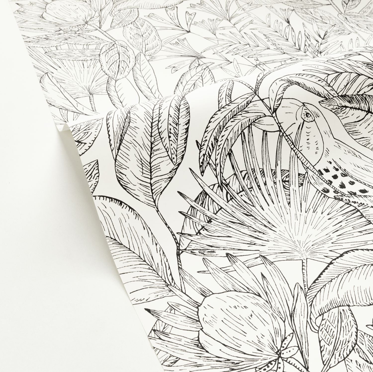 Jardin De Bel Air Wallpaper - Blanc Noir - Caselio - 103010199 - Premier Wallcovering