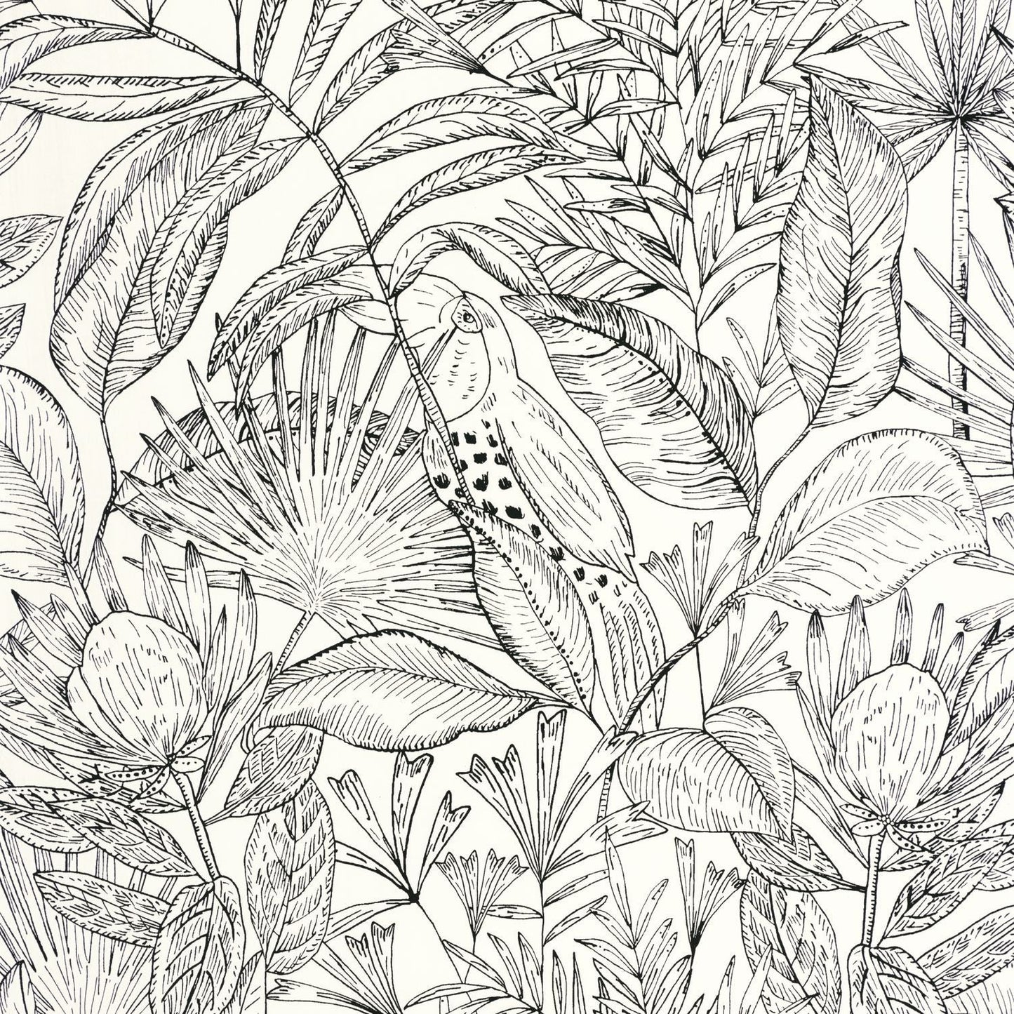 Jardin De Bel Air Wallpaper - Blanc Noir - Caselio - 103010199 - Premier Wallcovering