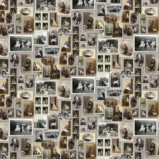 Jolly Boy Wallpaper - French Grey - The Graduate Collection - CC1DODWALG - Premier Wallcovering