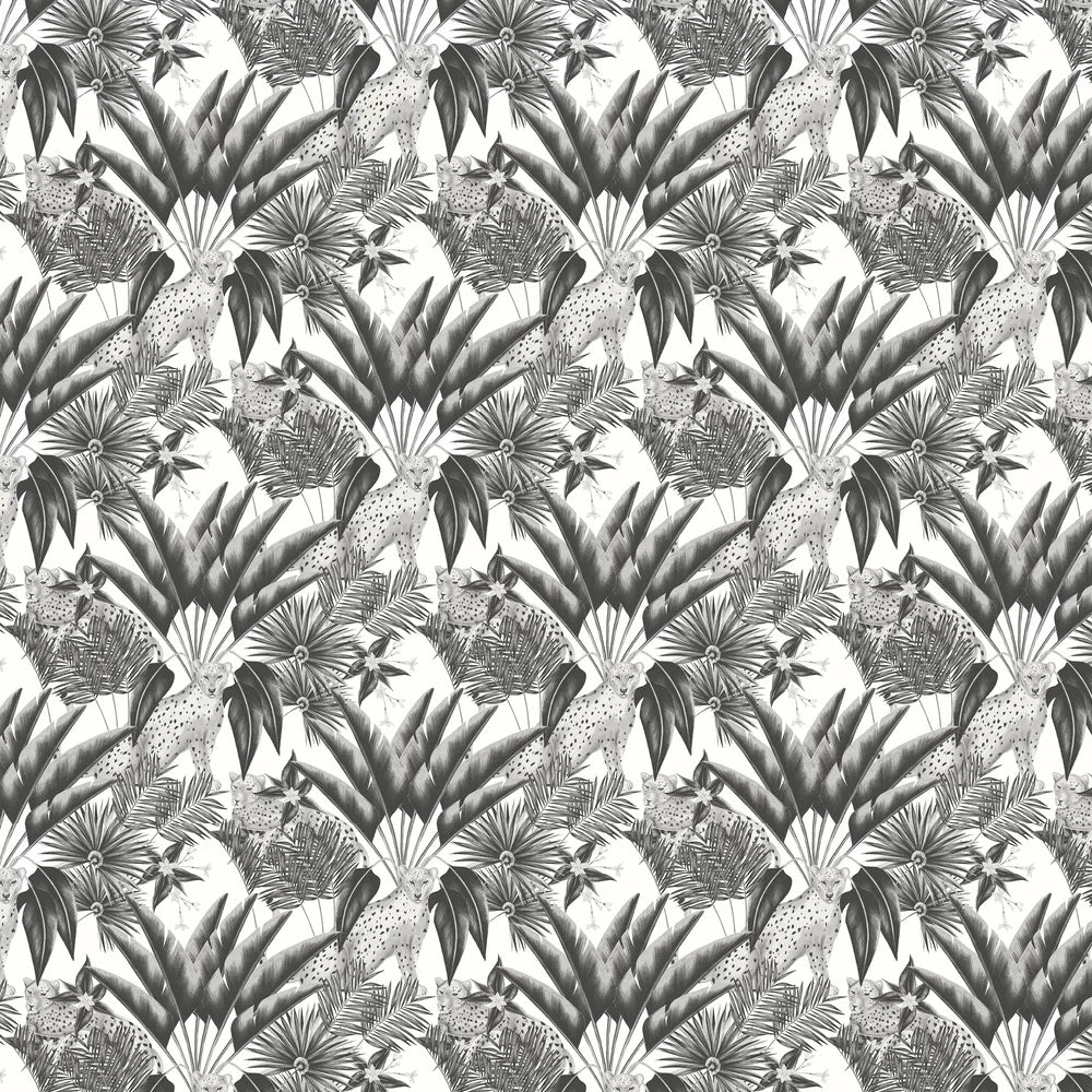 Jungle Cheetah Wallpaper - Raven - Ohpopsi - LBK50122W - Premier Wallcovering