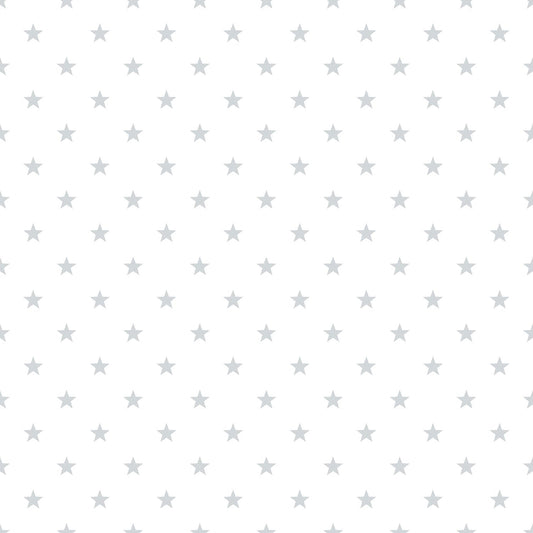Just 4 Kids 2 Stars Wallpaper - Deep Grey / White - Galerie - G56548 - Premier Wallcovering