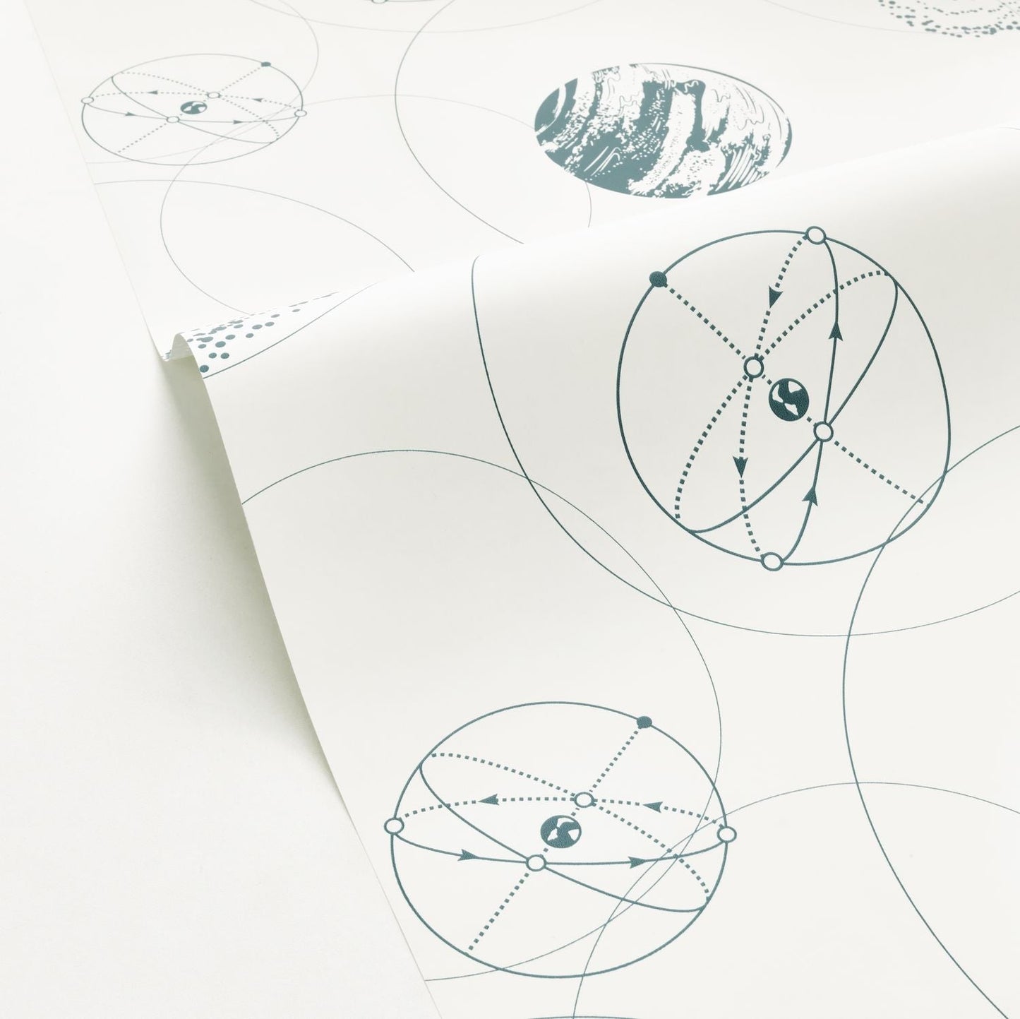 Just Fly Wallpaper - Bleu Canard - Caselio - 103256097 - Premier Wallcovering