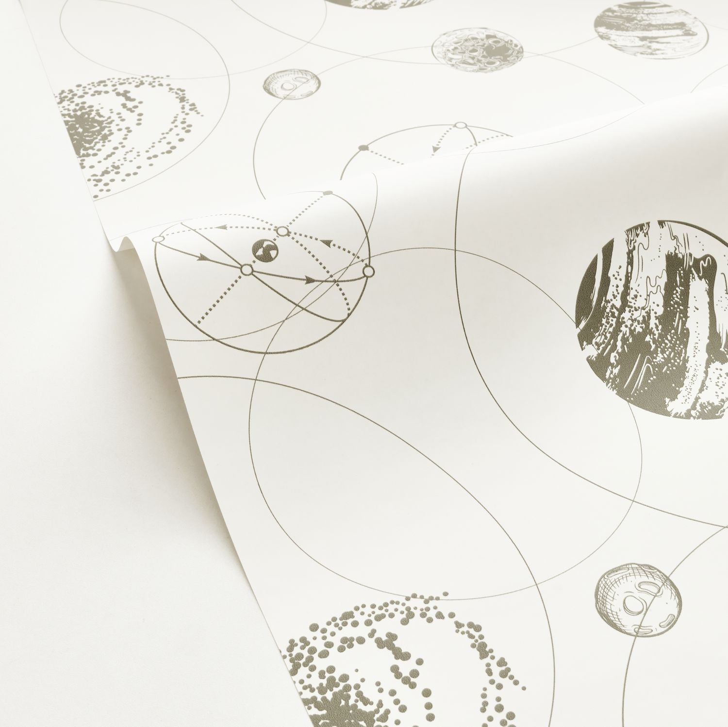 Just Fly Wallpaper - Kaki - Caselio - 103257077 - Premier Wallcovering