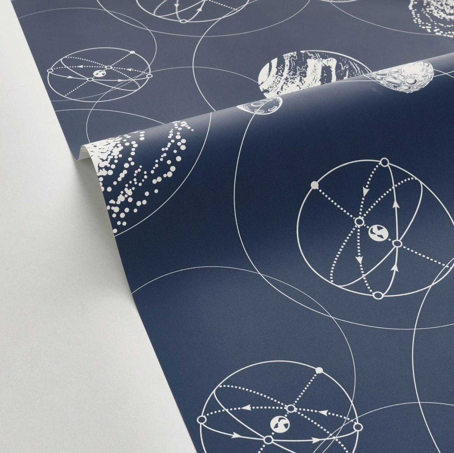 Just Fly Wallpaper - Bleu Nuit - Caselio - 103259124 - Premier Wallcovering