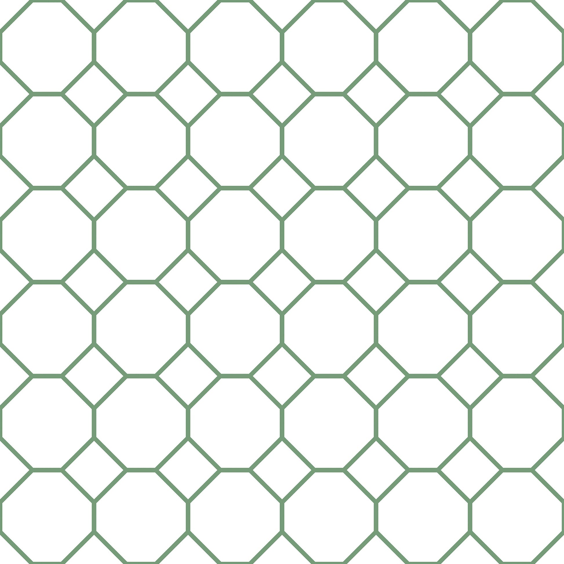 Just Kitchens Bee Hive Wallpaper - Green / White - Galerie - G45402 - Premier Wallcovering