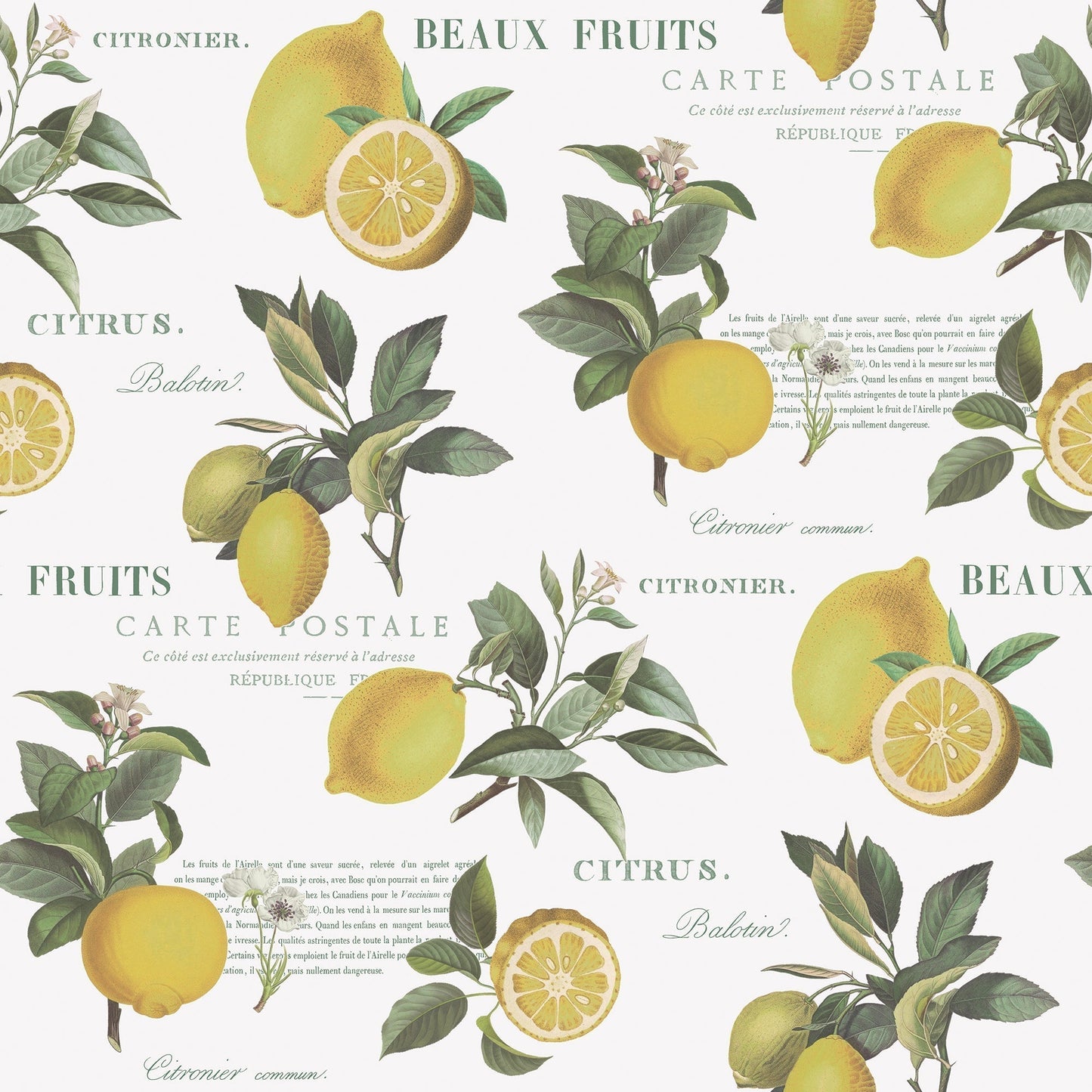 Just Kitchens Citron Botanical Wallpaper - Yellow / Green / White - Galerie - G45409 - Premier Wallcovering