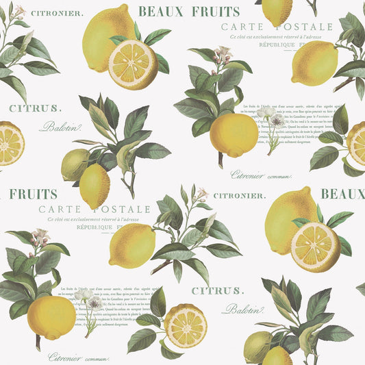 Just Kitchens Citron Botanical Wallpaper - Yellow / Green / White - Galerie - G45409 - Premier Wallcovering