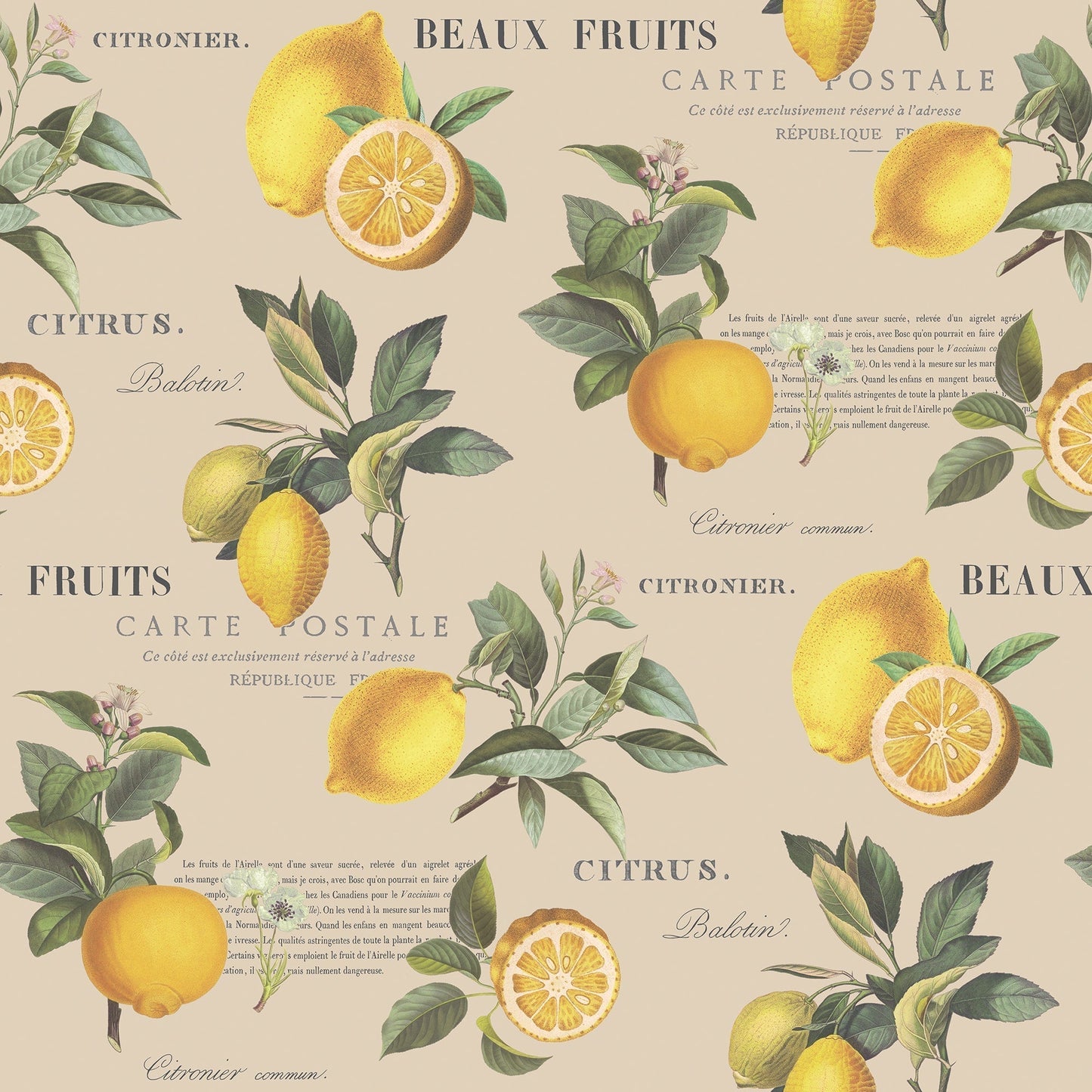 Just Kitchens Citron Botanical Wallpaper - Taupe - Galerie - G45410 - Premier Wallcovering