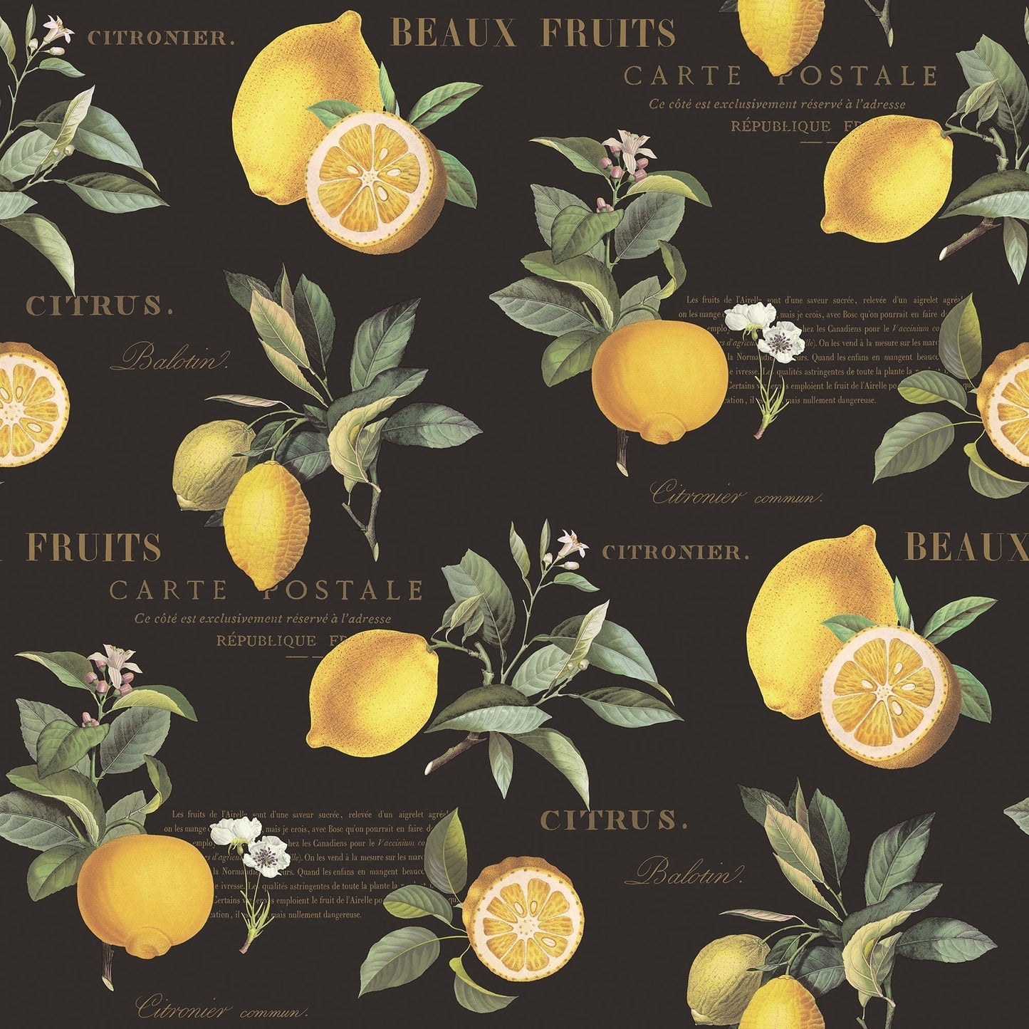 Just Kitchens Citron Botanical Wallpaper - Black / Yellow - Galerie - G45411 - Premier Wallcovering