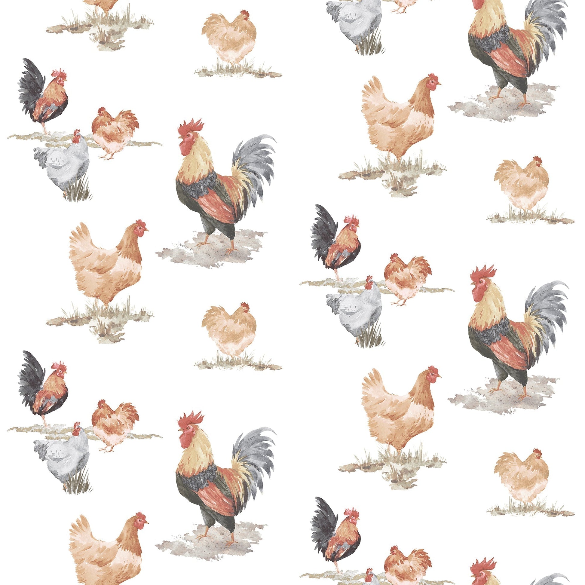Just Kitchens Free Range Wallpaper - Black / Red / Beige - Galerie - G45415 - Premier Wallcovering