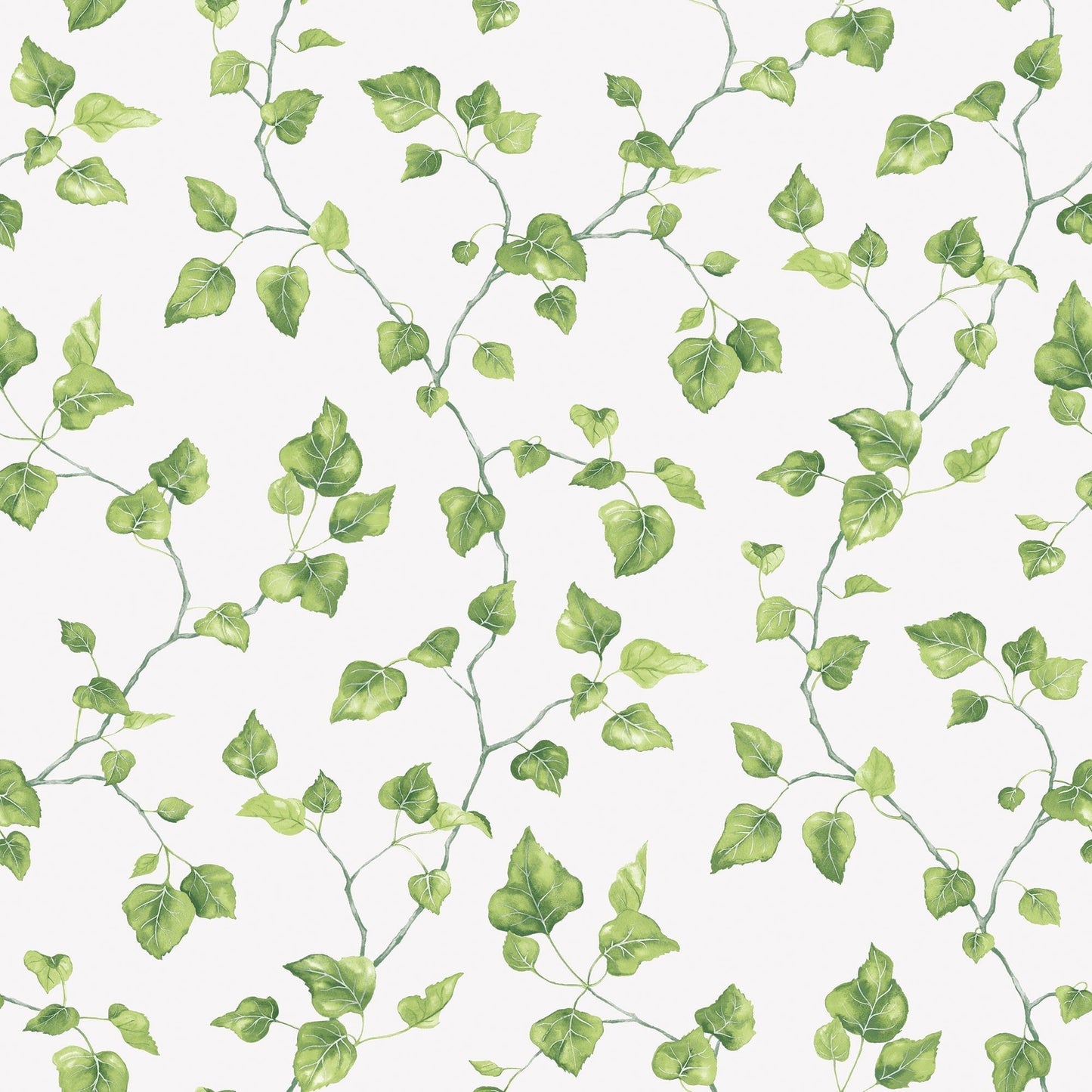 Just Kitchens Ivy Wallpaper - Green / White - Galerie - G45431 - Premier Wallcovering