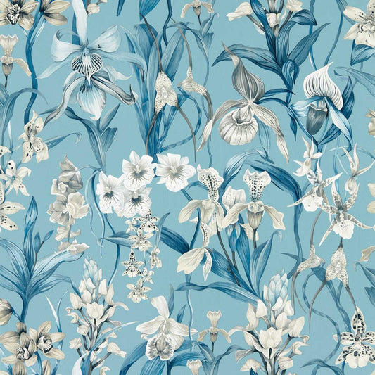 Kalina Wallpaper - Celestial/Murmuration/Awakening - HC4W113008 - Harlequin - Premier Wallcovering