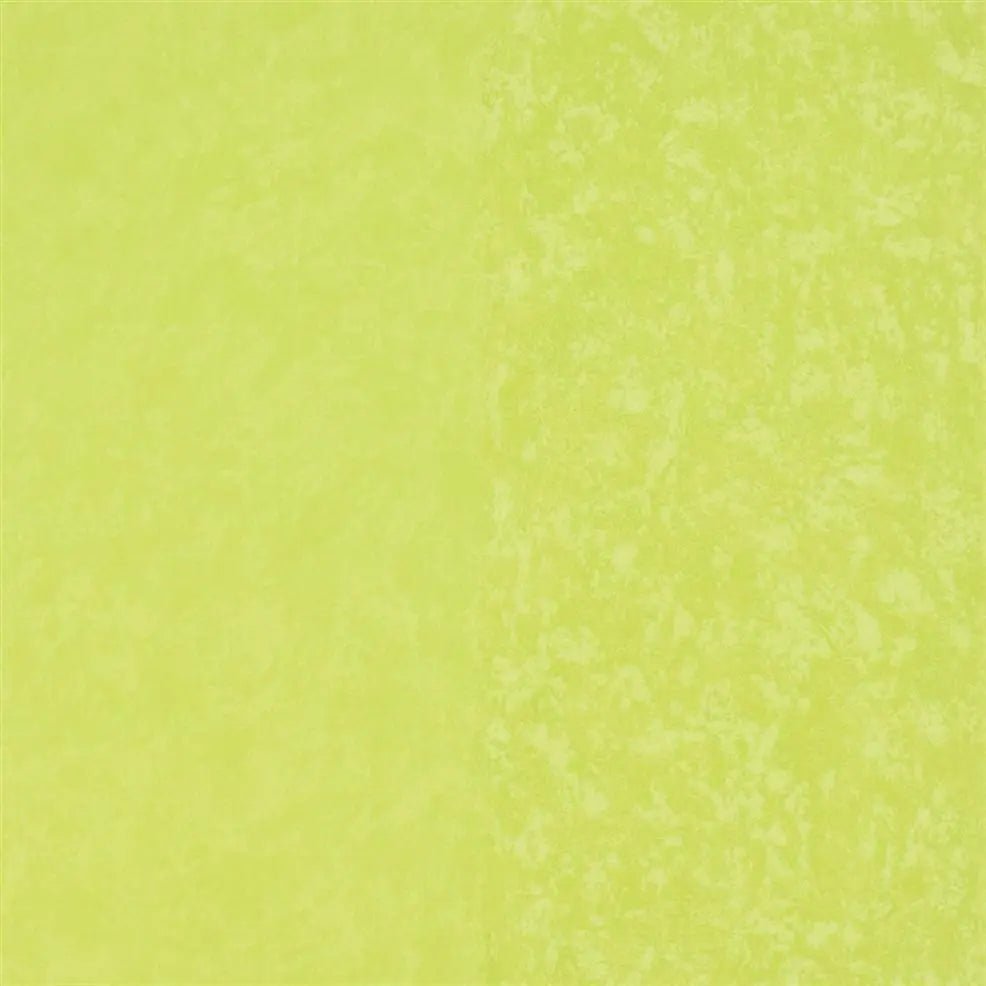Kalpana Wallpaper - Lime - P576/14 - Designers Guild - Premier Wallcovering