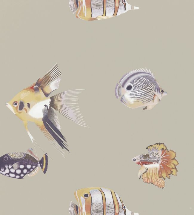 Kamanu Wallpaper - Mandarin/Fig - HANZ111647 - Harlequin - Premier Wallcovering
