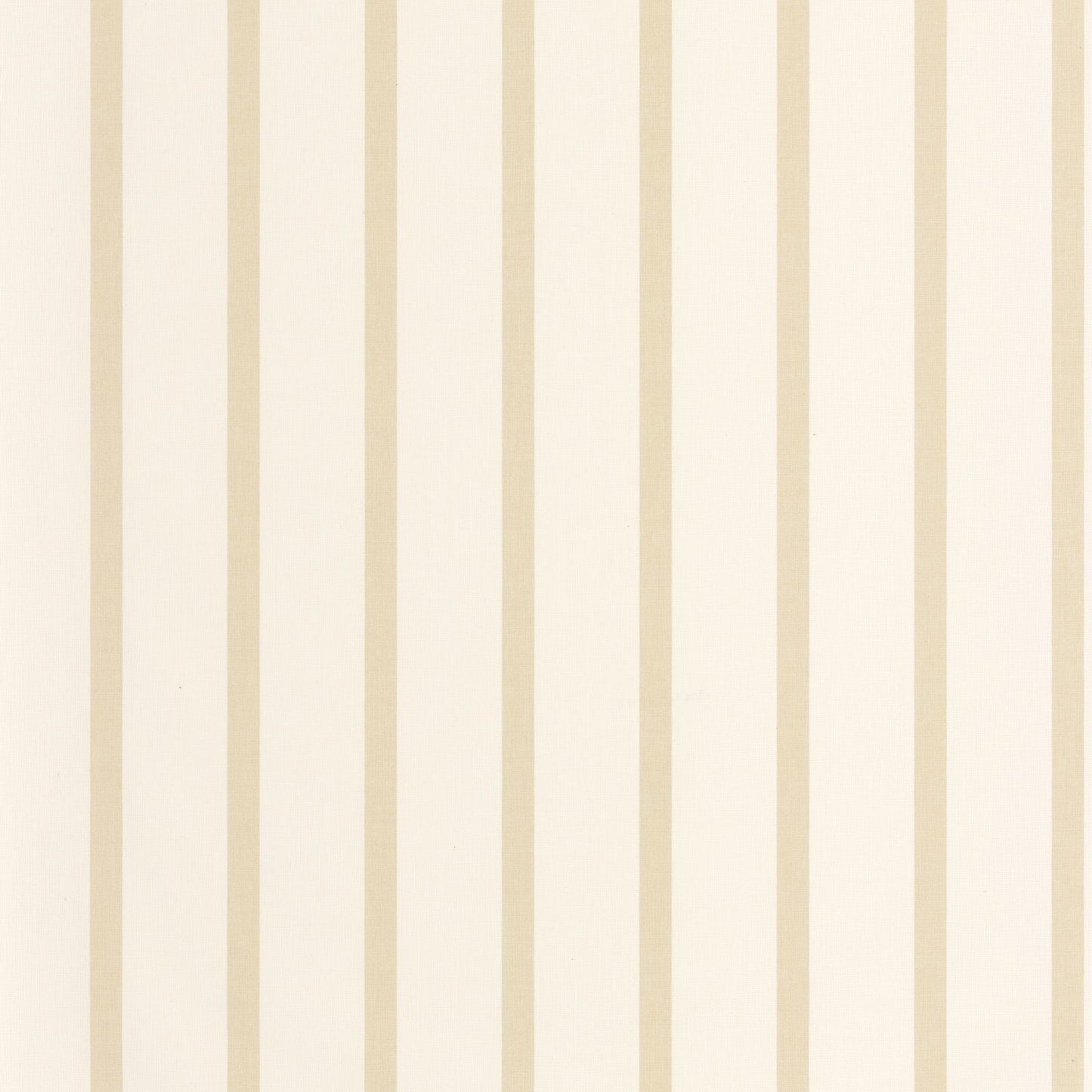 Katy Wallpaper - Beige - Caselio - 106491010 - Premier Wallcovering