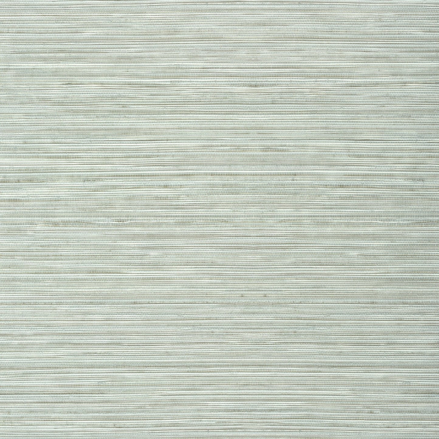 Kendari Grass Wallpaper - Robin's Egg - Thibaut - T303 - Premier Wallcovering