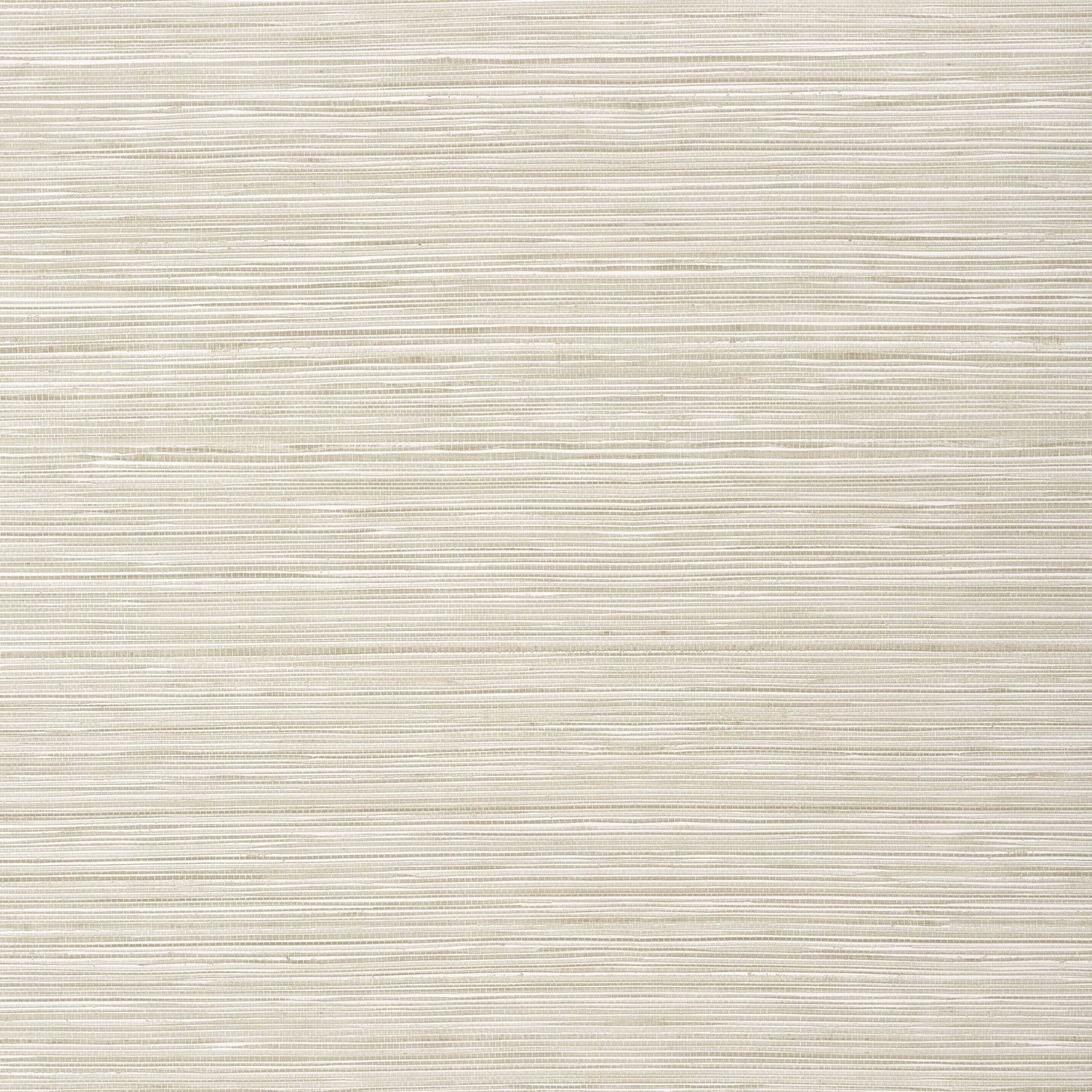 Kendari Grass Wallpaper - Putty - Thibaut - T295 - Premier Wallcovering