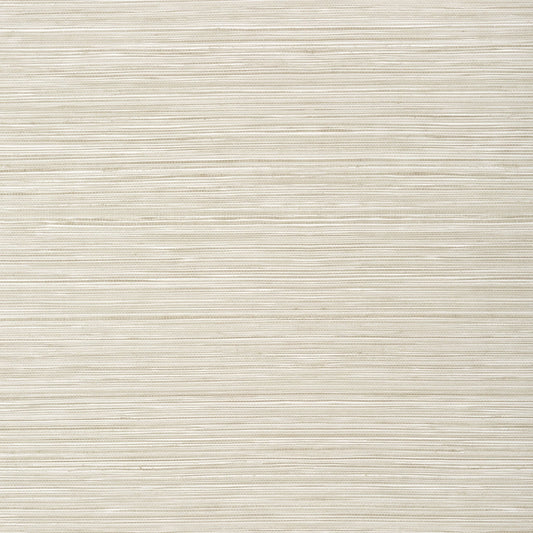 Kendari Grass Wallpaper - Putty - Thibaut - T295 - Premier Wallcovering
