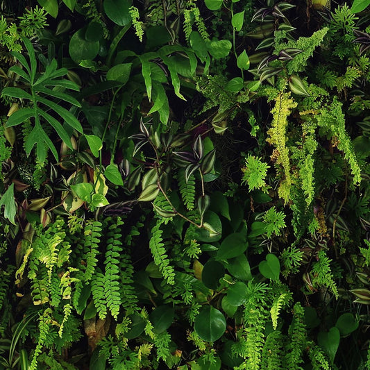 Kew Living Wall Wallpaper - Green - Belgravia - 66119 - Premier Wallcovering