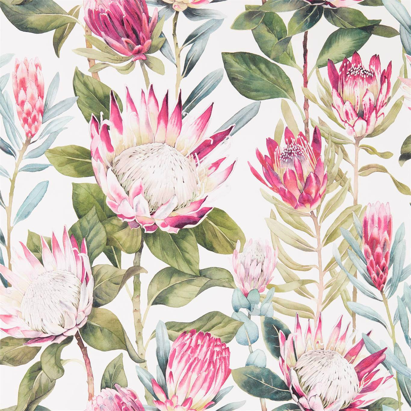 King Protea Wallpaper - Rhodera/Cream - Sanderson - DGLW216646 - Premier Wallcovering