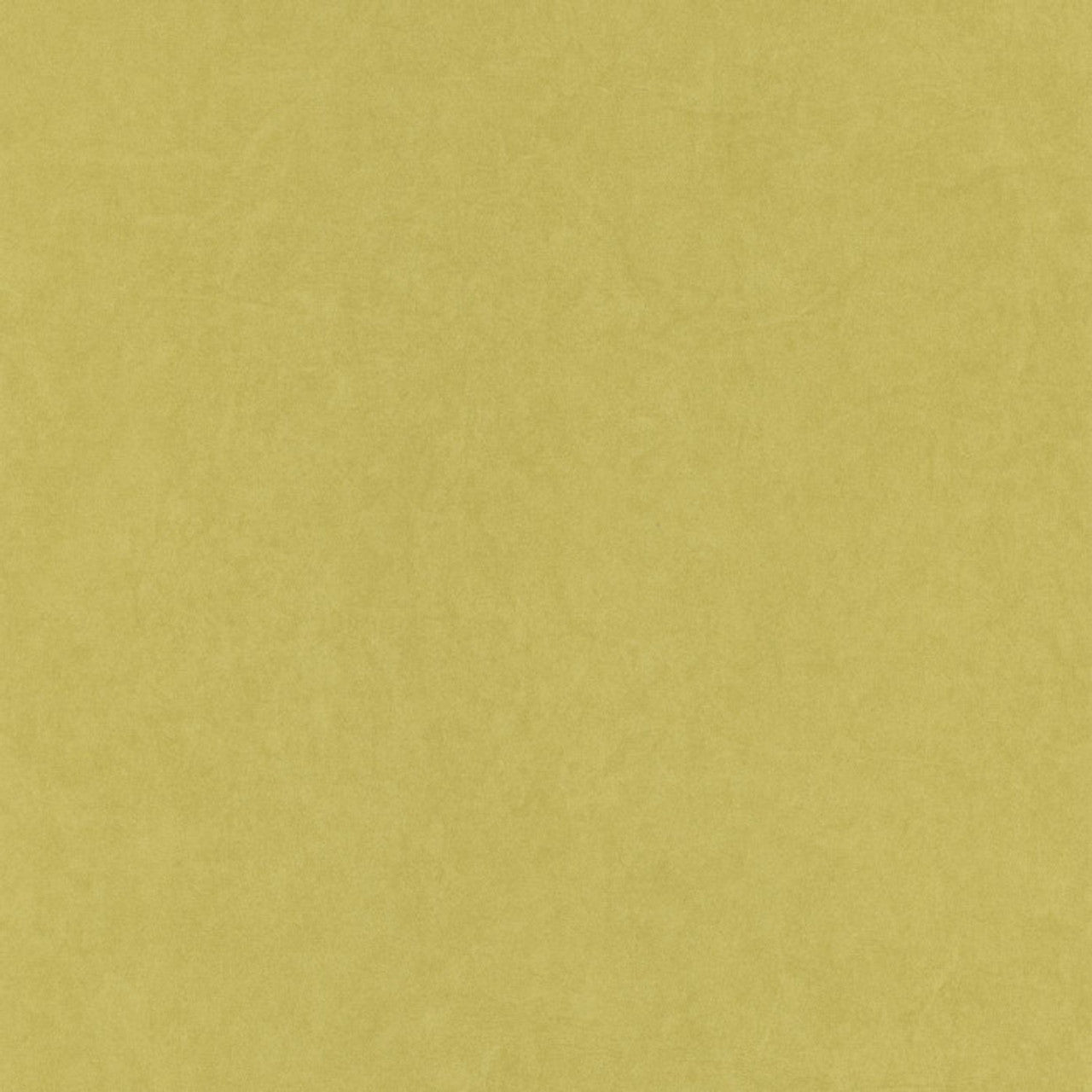 Kiosque Florescence Wallpaper - Vert - Casadeco - 82387232 - Premier Wallcovering